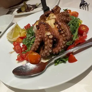 Octopus, daily special