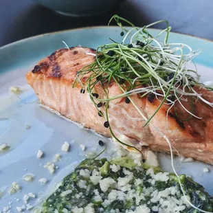 fish, grilled seafood, seafood, food, grilled fish