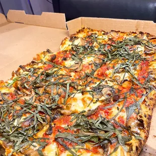 Fun Guy Forno Pizza
