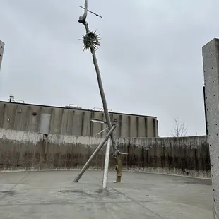 a pole with a nest on it