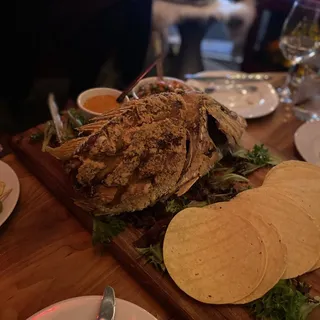 Whole Snapper