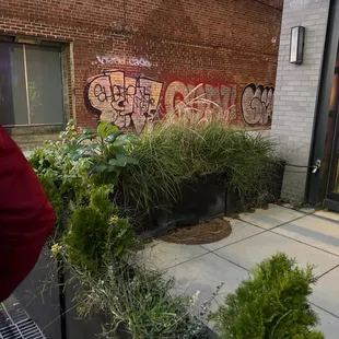 I was standing outside waiting. Nice mural. Jacob Banks.