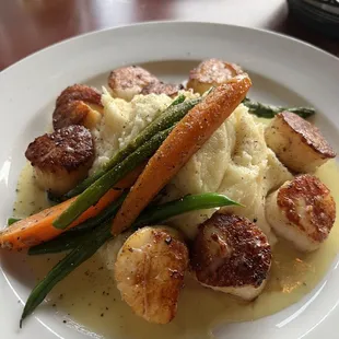 Scallops with mashed potatoes