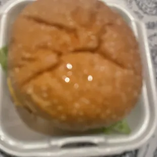 This is is a cheese burger it was prefect sweet tomato's fresh crispy pickles