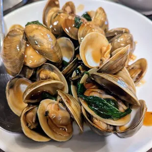 Clam with basil