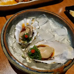 oyster special