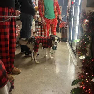 Furry Friends were invited.