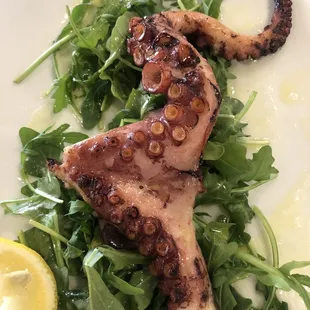 Grilled Octopus