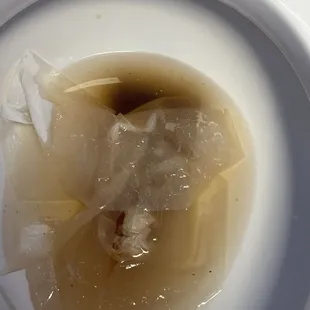 Their toilet looks like it hadn't been flushed in approximately seven years