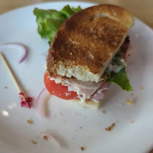  half eaten sandwich on a plate
