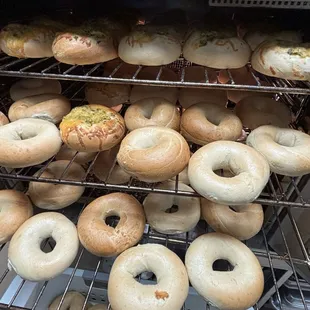 Bagels fresh out of oven. This happens throughout the day