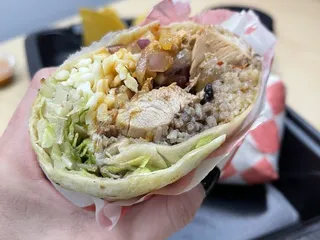 Chubby Burrito