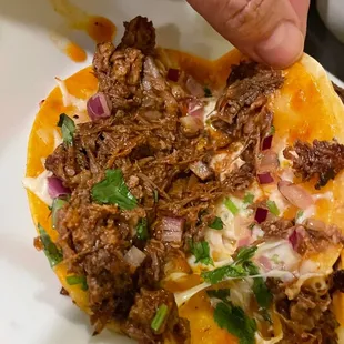 Birria... Dissected!