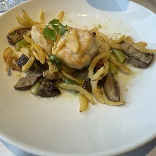 Halibut
