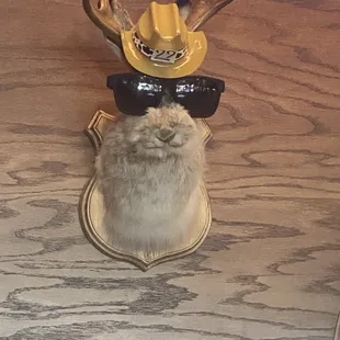 That is one cool jackalope.