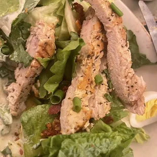 Grilled chicken salad