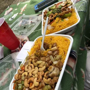 Cashew chicken and hunan chicken