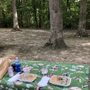 Chinese picnic at Murray Forest Park