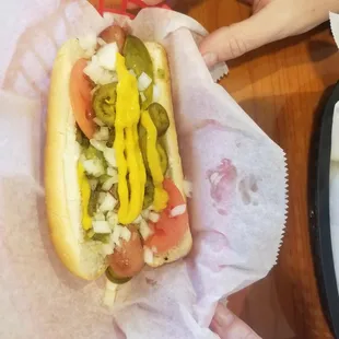 Chicago Dog