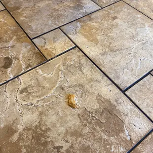 More French fries on the ground