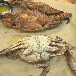 $3 crabs on Thursday!