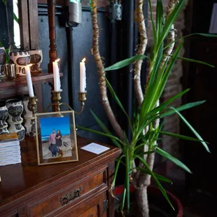 a picture of a plant and a picture of a man