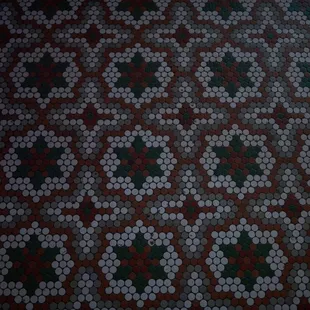a closeup of a tiled floor