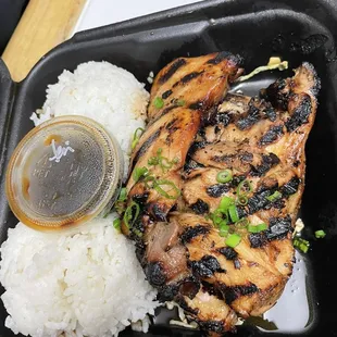 Grilled chicken, very tender, char (for those who like a little roast) but the sauce was fire.