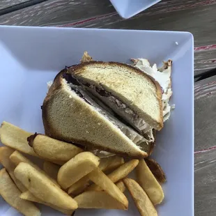 Blueberry cranberry turkey sandwich &amp; fries