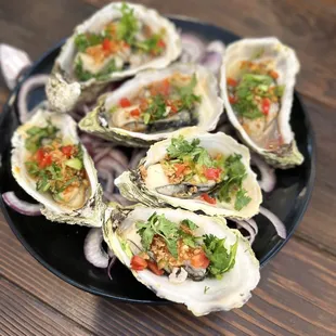 These oysters hit home ! 10/10