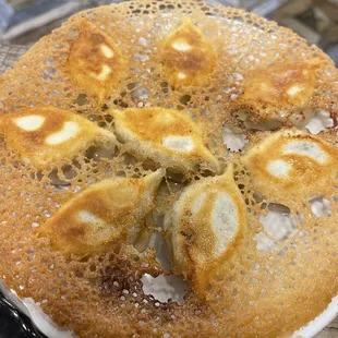 Pan Fried Dumplings