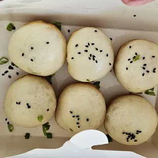 Pan Fried Dumplings