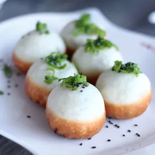 Soup pan fried pork buns