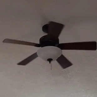 We install all types of lighting, even ceiling fans.