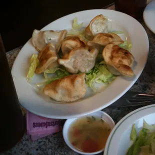 Pan Fried Dumplings