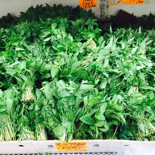 Fresh herbs