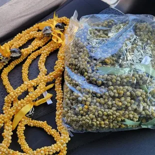 Morongo Yellow and Green Shells