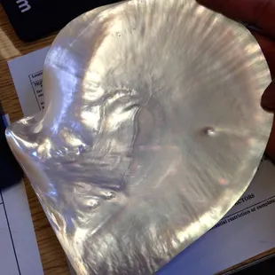 Upside view of shell.  The lacquer is amazing