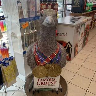 a stuffed bird in a store
