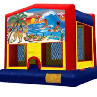 Luau Bouncer