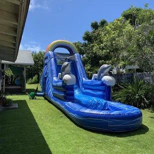 Rainbow dolphin slide
