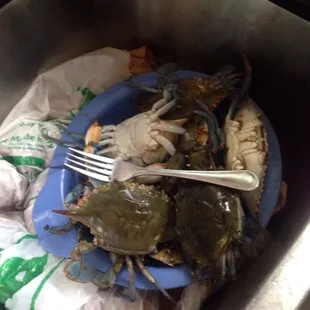 a plate of crabs in a sink