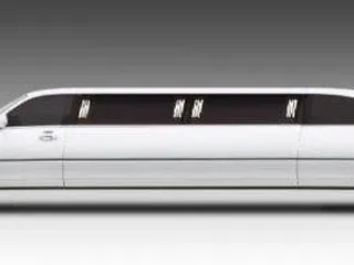 Professional Driver Limousine Services