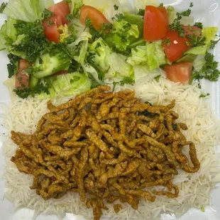 a plate of fried insects and rice