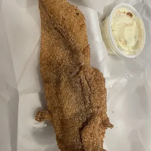 Catfish fillet