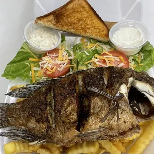 a grilled fish and french fries