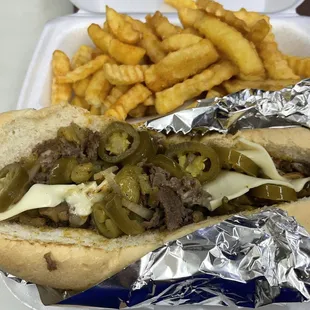 a hot dog and french fries