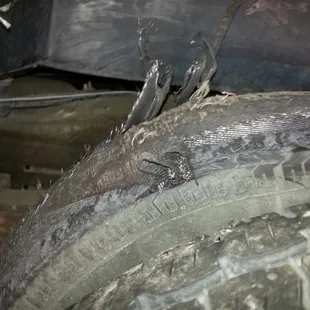 Shredded tire.