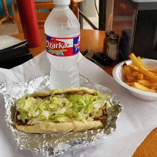 Gyro  + French Fries