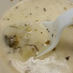 Broccoli and Cheese Soup. The best I&apos;ve ever had! Extremely flavorful.